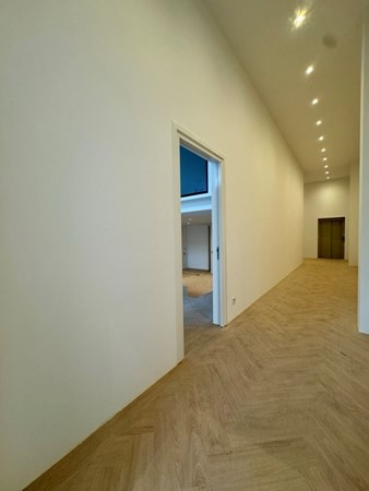 IMG_7348 Medium.jpeg